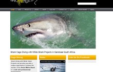 White Shark Projects