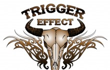 Trigger Effect TV